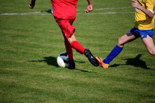 乐鱼电脑版官网-世界青少年自行车赛中国骑手再创佳绩，2020全国青少年自行车锦标赛